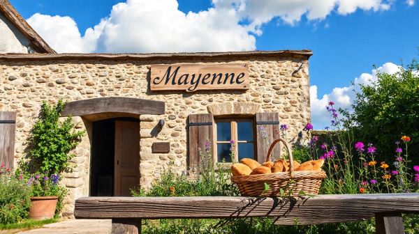 Top raisons d’adopter le pré-fibrage en Mayenne pour vos réseaux